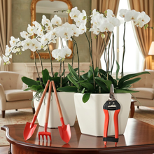 Load image into Gallery viewer, Vinka Super Luxury Outdoor Indoor Plant Pot Planter | Item Name : SQUARE BIG POT WHITE | Stunning Design High End Finish Flower Pot | 2 Pc Set