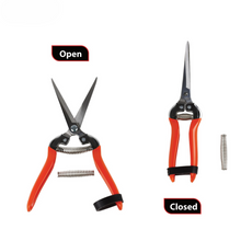 Load image into Gallery viewer, ITEM : VAPS-029 Secateur 7" snip long solid stainless Steel serrated blade