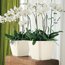 Load image into Gallery viewer, Vinka Super Luxury Outdoor Indoor Plant Pot Planter | Item Name : SQUARE BIG POT WHITE | Stunning Design High End Finish Flower Pot | 2 Pc Set