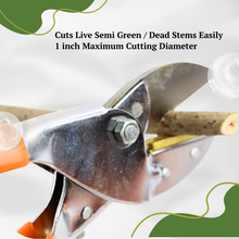 Load image into Gallery viewer, Vinka Steel Blade Heavy Duty Plant Cutter | 8" Length Hard Stem Scissor Razor Sharp Hand Pruning Anvil Shear | Item No: VAPS-032 | Garden Roll Cut Pruner | Branch Cutter, Tree Pruner(Orange and Silver) | Garden Pruner For Home Garden
