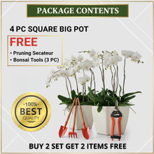 Load image into Gallery viewer, Vinka Super Luxury Outdoor Indoor Plant Pot Planter | Item Name : SQUARE BIG POT WHITE | Stunning Design High End Finish Flower Pot | 2 Pc Set