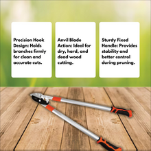 Load image into Gallery viewer, features of lopper