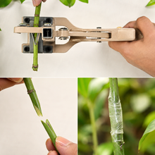 Load image into Gallery viewer, Usage of Grafting Tool on live green stem