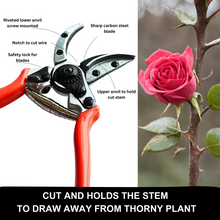 Load image into Gallery viewer, Vinka Rose Pruner Cut and Hold advantages explained