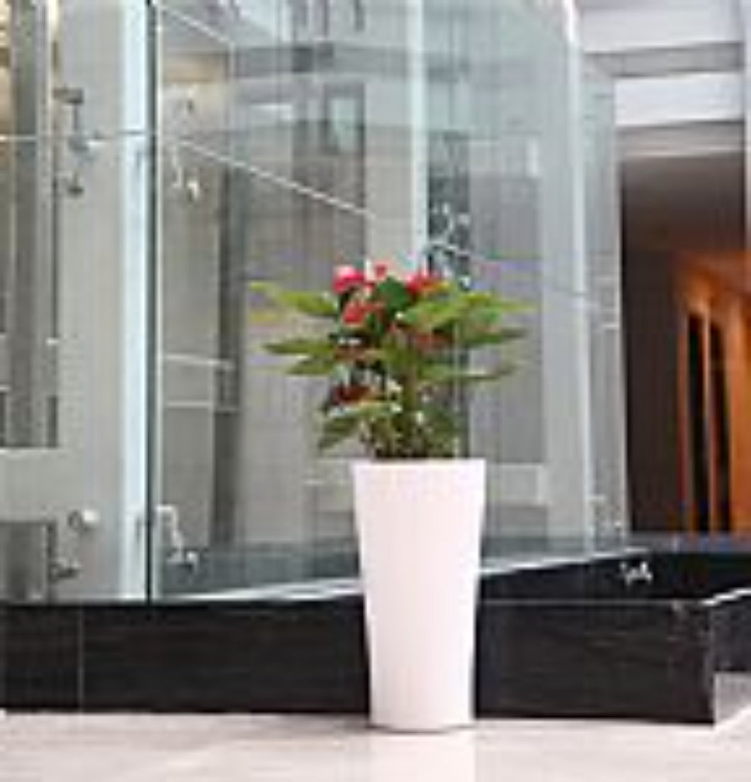 ITEM : TRIANGLE PLANTER MEDIUM - WHITE Self watering triangle shape planter pot with stunning design and finish . 2 pcs set