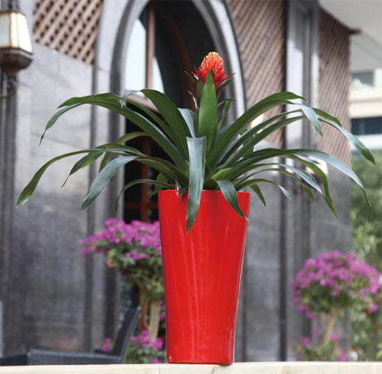 ITEM : TRIANGLE PLANTER MEDIUM - RED Self watering triangle shape with stunning finish and looks. Set of 2 pcs.