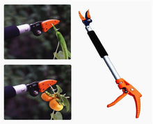 Load image into Gallery viewer, Vinka Shevga Harvestor Long Arm Thinning Pruner Item Code VAFP-001 With Cut and Hold Blade