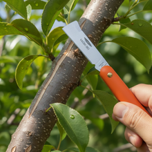 Load image into Gallery viewer, Person using a knife to trim or budding  a branch on a tree
