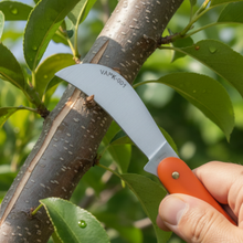 Load image into Gallery viewer, a human hand budding the stem with vinka grafting and budding knife
