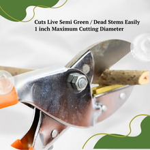 Load image into Gallery viewer, Vinka Steel Blade Heavy Duty Plant Cutter | 8&quot; Length Hard Stem Scissor Razor Sharp Hand Pruning Anvil Shear | Item No: VAPS-032 | Garden Roll Cut Pruner | Branch Cutter, Tree Pruner(Orange and Silver) | Garden Pruner For Home Garden
