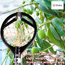 Load image into Gallery viewer, harvest upto 1 kg
