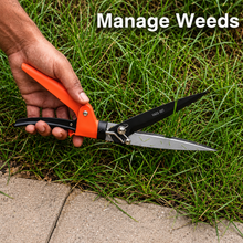 Load image into Gallery viewer, Cutting Long Grass with Vinka Garden Grass Shear

