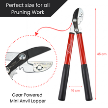 Load image into Gallery viewer, Gear-powered mini anvil lopper with red and black handles, shown with measurements and text about its use.
