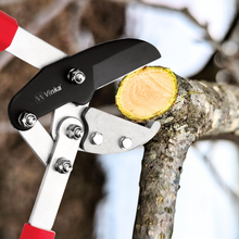 Load image into Gallery viewer, Garden pruner cutting a branch

