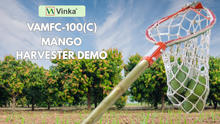 Load and play video in Gallery viewer, Vinka Mango Harvester demonstration Video 
Harvesting Mango from mango trees
