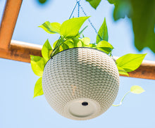 Load image into Gallery viewer, clear view of hanging pot 
