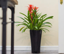 Load image into Gallery viewer, A black, triangle-shaped self-watering planter with a tall green plant inside, placed on a floor near a flight of stairs.
