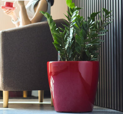 A red, round, glossy pot planter with a person sitting in the background, indoors.