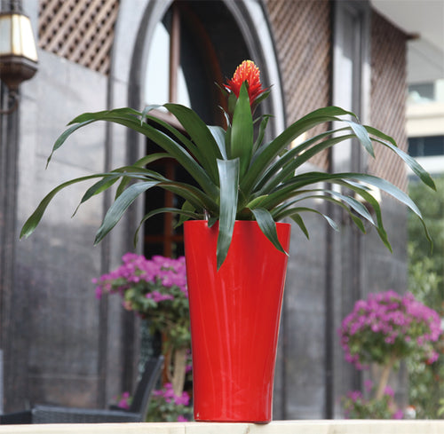 Vinka Triangle Planter